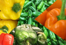 pepper varieties