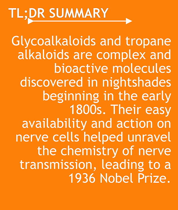 tl;dr Glycoalkaloids and tropane alkaloids are complex and bioactive molecules discovered in nightshades beginning in the early 1800s. Their easy availability and action on nerve cells helped unravel the chemistry of nerve transmission, leading to a 1936 Nobel Prize.